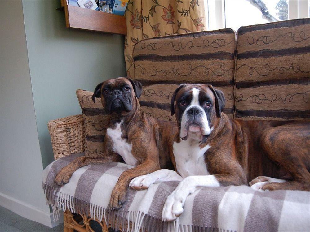 Drynachan Bed & Breakfast Inverness Ngoại thất bức ảnh